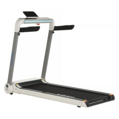 Delta в Нижнем Новгороде по цене 42490 ₽ в категории беговые дорожки Evo Fitness