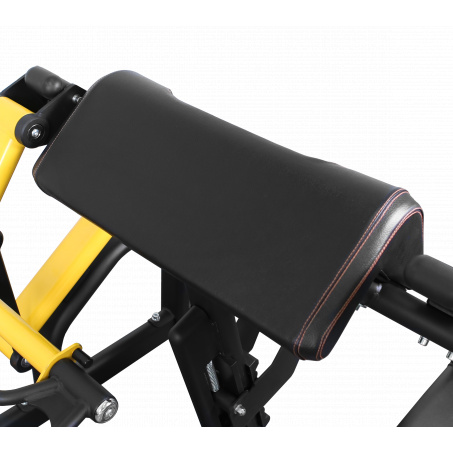 Рендер-7 для Bronze Gym PL-1713 Бицепс