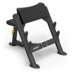 Spirit SP-4206 из каталога скамей Скотта в Нижнем Новгороде по цене 84800 ₽