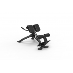 Spirit SP-4220 из каталога гиперэкстензий в Нижнем Новгороде по цене 101700 ₽
