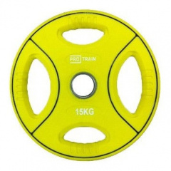 Protrain DB6092-15 (д=50 мм) из каталога дисков для штанги с посадочным диаметром 50 мм. в Нижнем Новгороде по цене 6800 ₽