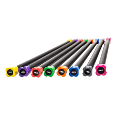 Profi Fit 5 кг PF-BDB-5 из каталога бодибаров  в Нижнем Новгороде по цене 5490 ₽