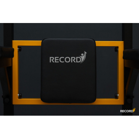 Рендер-9 для Record Рекорд версия 2.0