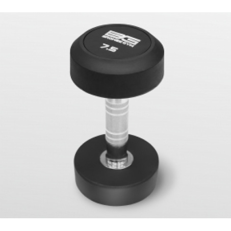Рендер-2 для Bronze Gym BGDBR025-250  2.5-25 кг - 10 пар