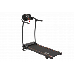 RF-8 в Нижнем Новгороде по цене 24990 ₽ в категории беговые дорожки Royal Fitness