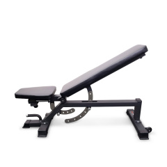 Protrain TC011 из каталога силовых скамей в Нижнем Новгороде по цене 57000 ₽