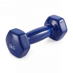 VictoryFit 2 кг. 1 шт. VF-DV020 из каталога виниловых гантелей в Нижнем Новгороде по цене 660 ₽