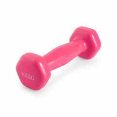 VictoryFit 0,5 кг. 1 шт. VF-DV005 из каталога виниловых гантелей в Нижнем Новгороде по цене 320 ₽