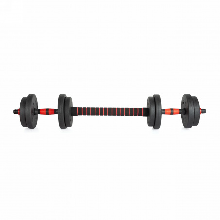 Рендер-2 для VictoryFit 10 кг. (2х5 кг.) VF-DC100
