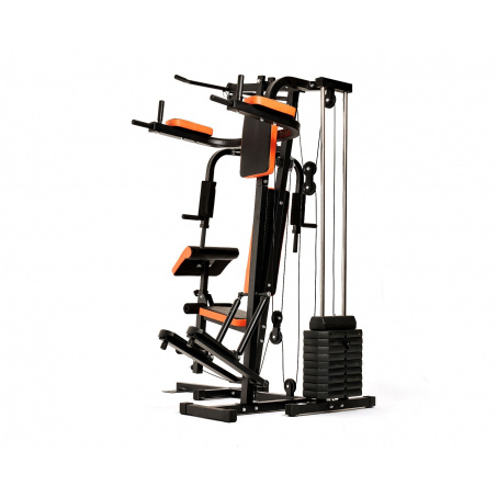 Рендер-13 для DFC HomeGym D7002-60 стек 60 кг