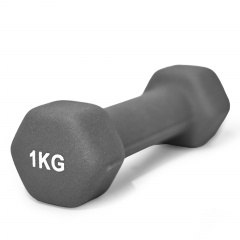 UnixFit 1 кг Grey DBNEO1GY из каталога неопреновых  гантелей в Нижнем Новгороде по цене 510 ₽