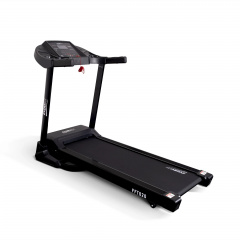 FFT020 в Нижнем Новгороде по цене 65550 ₽ в категории беговые дорожки Everyfit