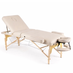 DFC PROFI3 TS312H складной из каталога массажных столов в Нижнем Новгороде по цене 28900 ₽