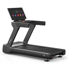 Xenjoy T7XP из каталога беговых дорожек в Нижнем Новгороде по цене 825000 ₽