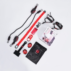 HYROPE HyGear Gear 1 из каталога комплексов для кроссфита и функционального тренинга в Нижнем Новгороде по цене 11990 ₽