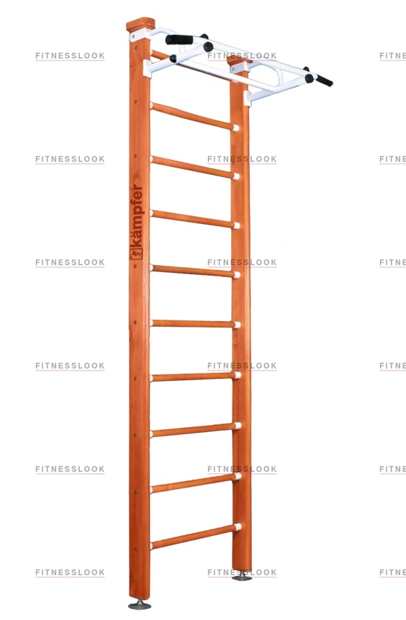 Swedish ceiling в Нижнем Новгороде по цене 18150 ₽ в категории тренажеры Kampfer