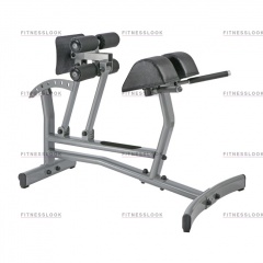 AeroFit Neo NRCH из каталога тренажеров римский стул в Нижнем Новгороде по цене 39270 ₽
