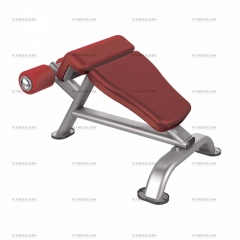 AeroFit IT7030 из каталога тренажеров римский стул в Нижнем Новгороде по цене 54660 ₽