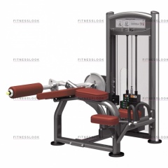 AeroFit IT9321 - сгибание ног лежа из каталога грузоблочных тренажеров в Нижнем Новгороде по цене 162950 ₽