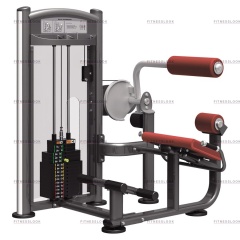 AeroFit IT9332 - разгибание спины из каталога грузоблочных тренажеров в Нижнем Новгороде по цене 205200 ₽