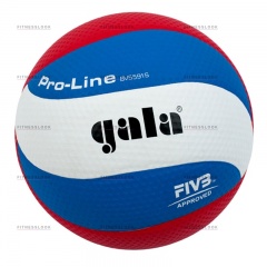 Gala Pro-line из каталога баскетбольных мячей в Нижнем Новгороде по цене 2640 ₽