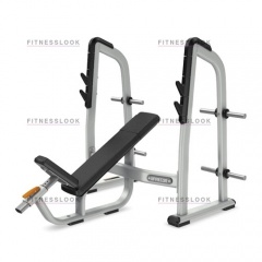 Precor DBR410 - со стойками из каталога скамей со стойкой в Нижнем Новгороде по цене 162470 ₽